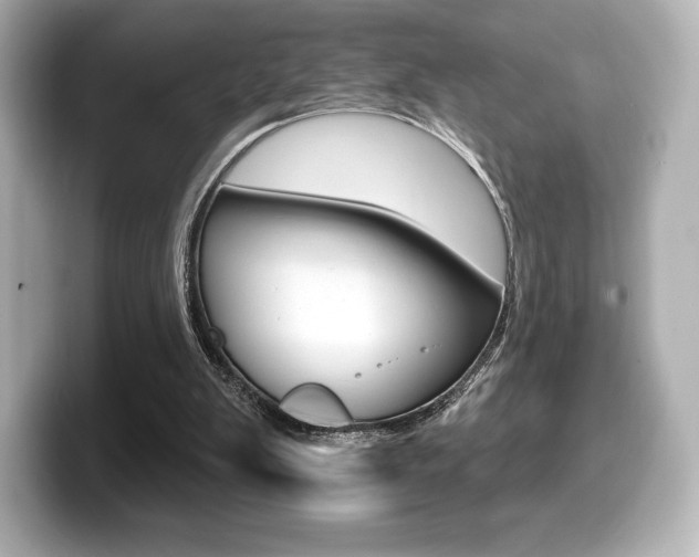X0000099380103200805081208