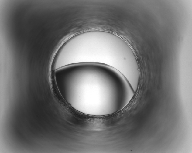 X0000099380104200805081208