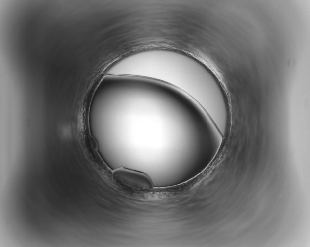 X0000099380105200805081208