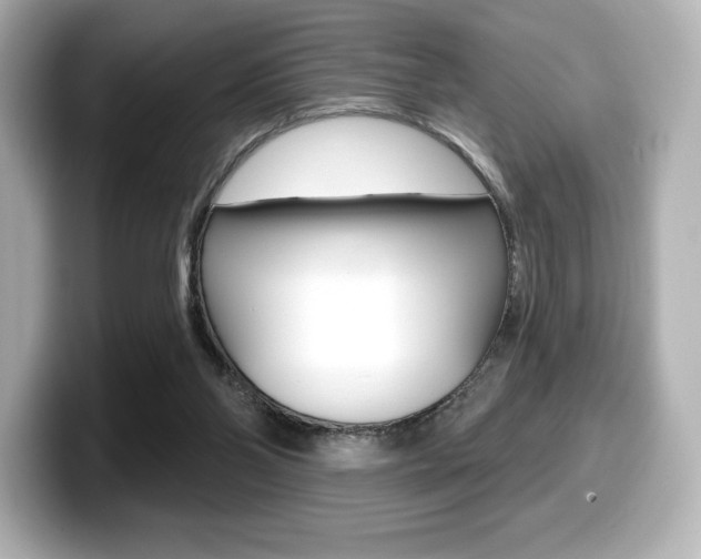 X0000099380110200805081208