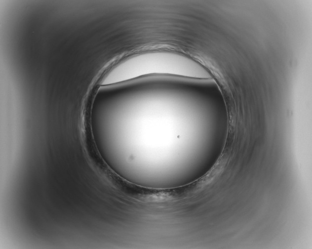 X0000099380112200805081207