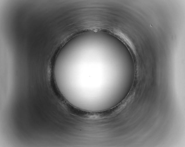 X0000099380113200805081207