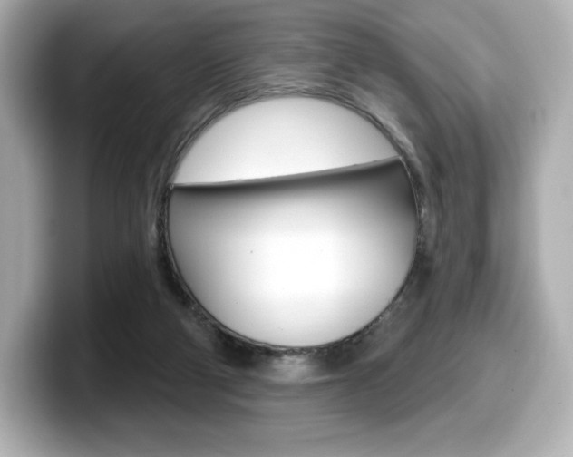 X0000099380114200805081207