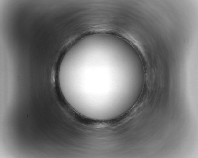 X0000099380115200805081207
