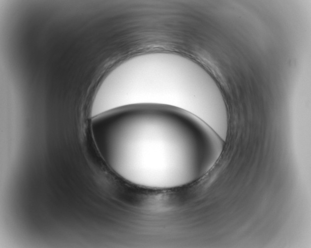 X0000099380116200805081207