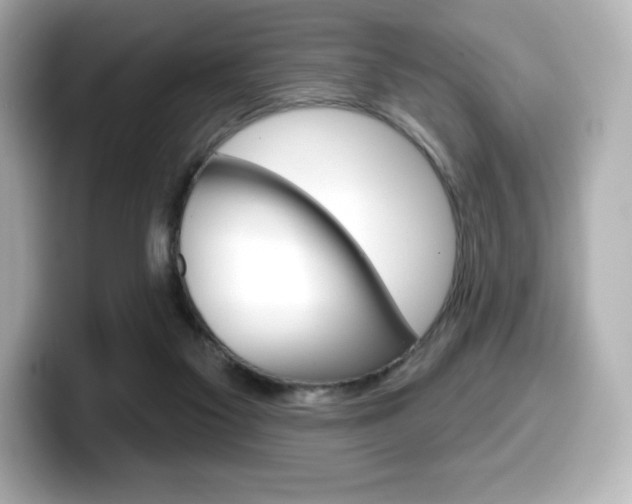 X0000099380117200805081207