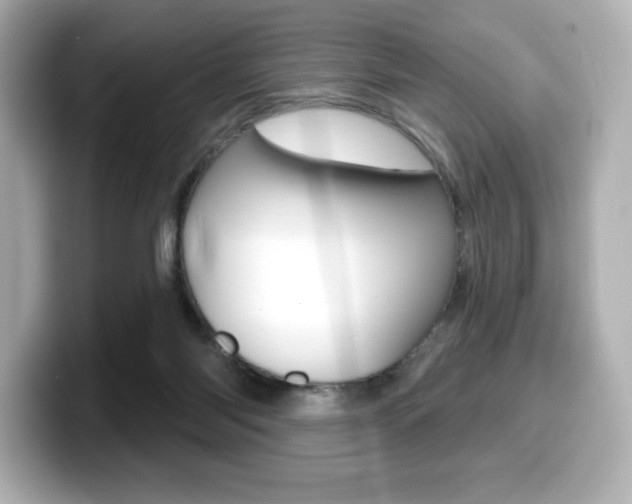 X0000099380118200805081207