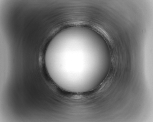 X0000099380119200805081207