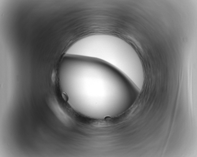 X0000099380123200805081207