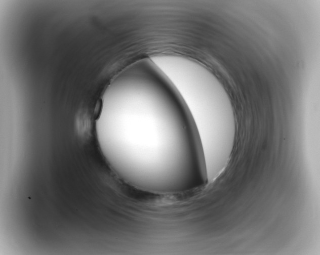 X0000099380124200805081207