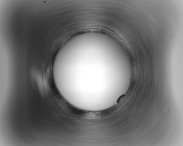 X0000099380126200805081207
