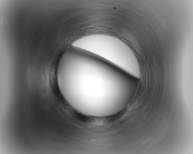 X0000099380127200805081207