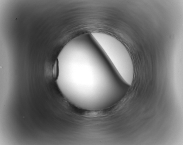 X0000099380129200805081207