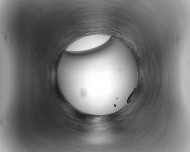 X0000099380130200805081207
