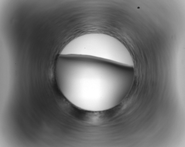 X0000099380131200805081207