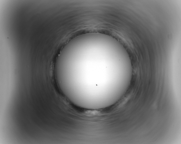 X0000099380133200805081207