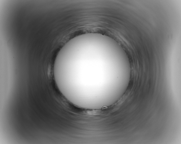 X0000099380134200805081207