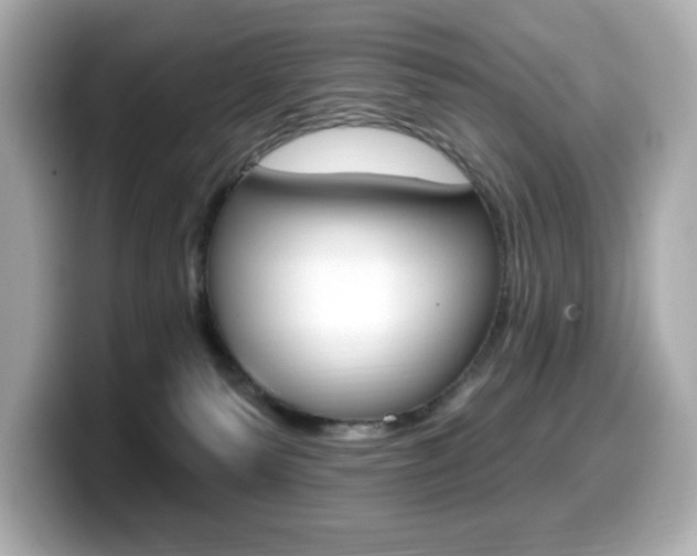 X0000099380135200805081207