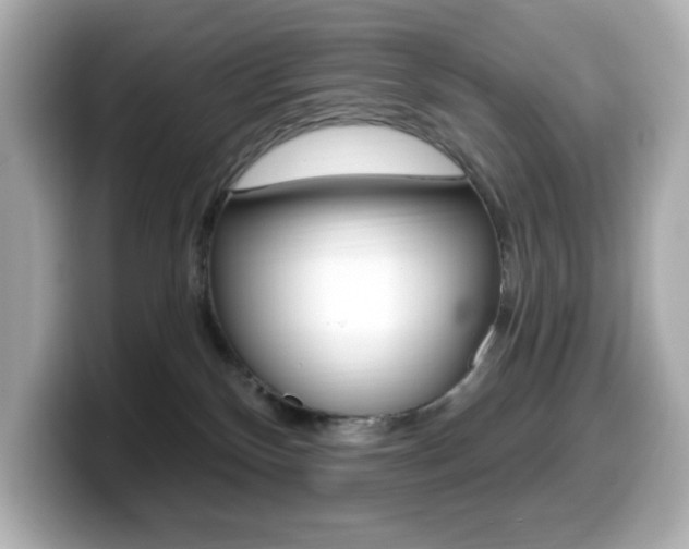 X0000099380136200805081207