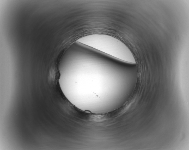 X0000099380139200805081207