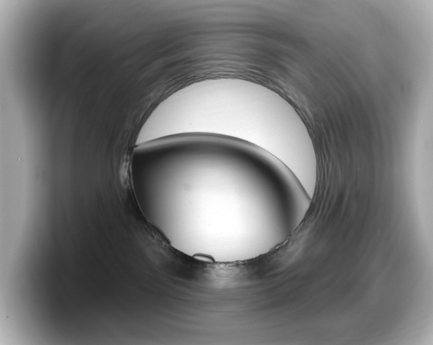X0000099380141200805081207