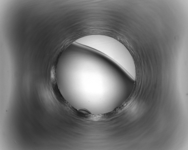 X0000099380143200805081207