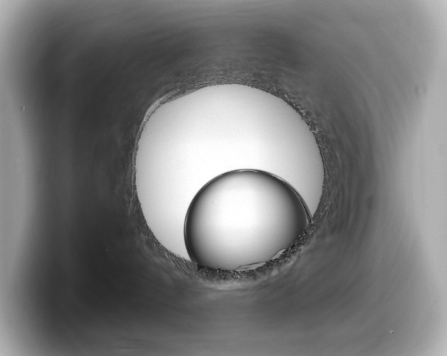 X0000099380144200805081207