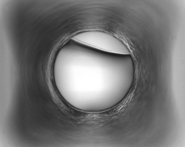 X0000099380145200805081206