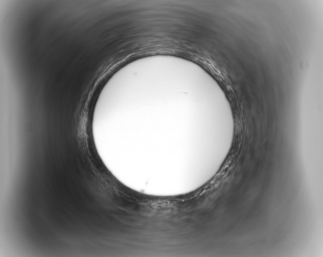 X0000099380146200805081206
