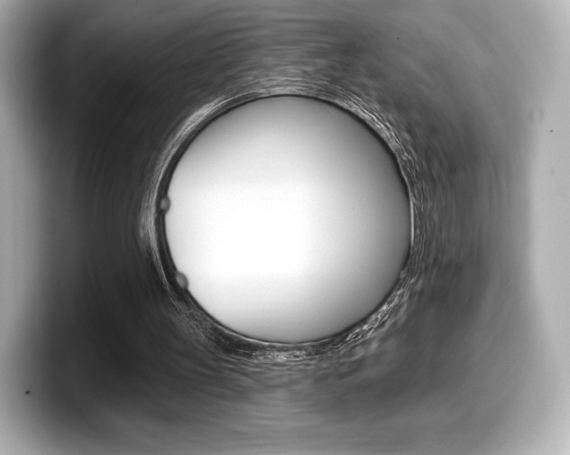 X0000099380147200805081206