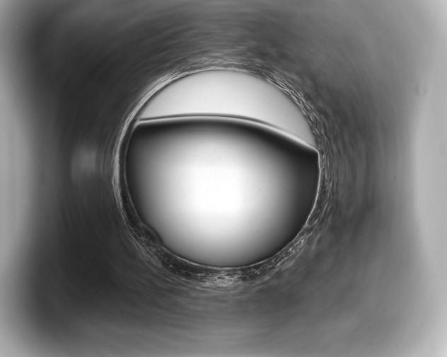 X0000099380148200805081206
