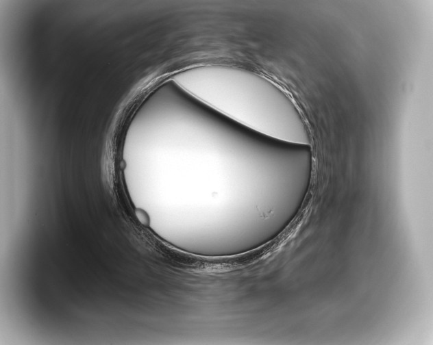 X0000099380149200805081206