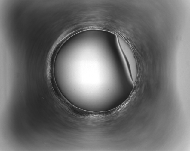 X0000099380150200805081206
