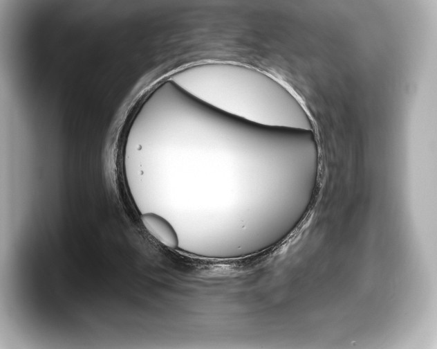 X0000099380151200805081206
