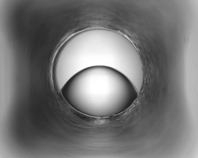 X0000099380152200805081206