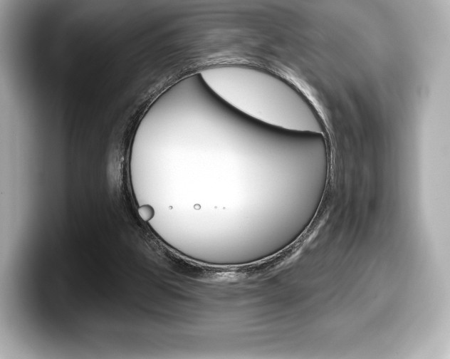 X0000099380153200805081206