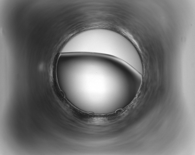 X0000099380154200805081206