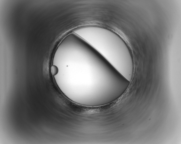 X0000099380155200805081207