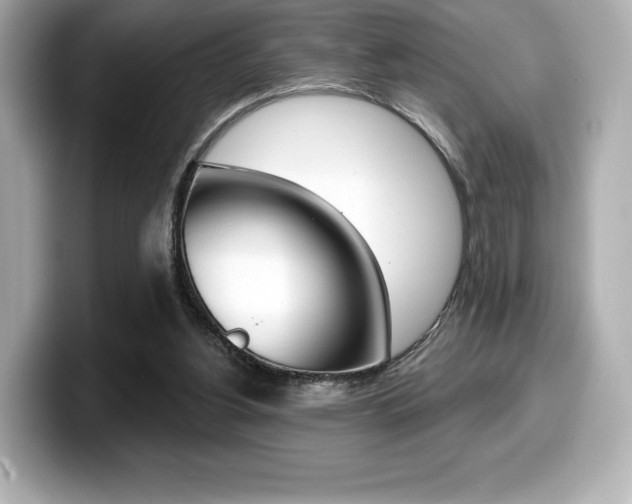 X0000099380156200805081207