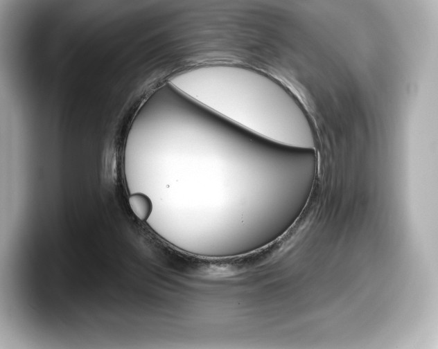 X0000099380157200805081207
