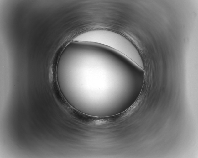 X0000099380158200805081207