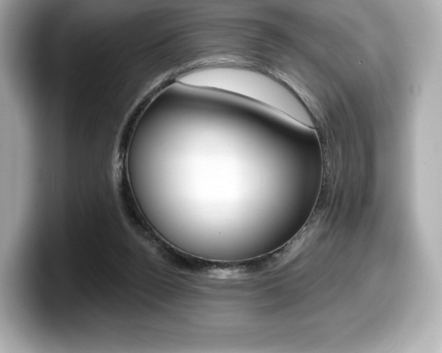 X0000099380160200805081207