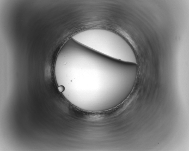 X0000099380161200805081207