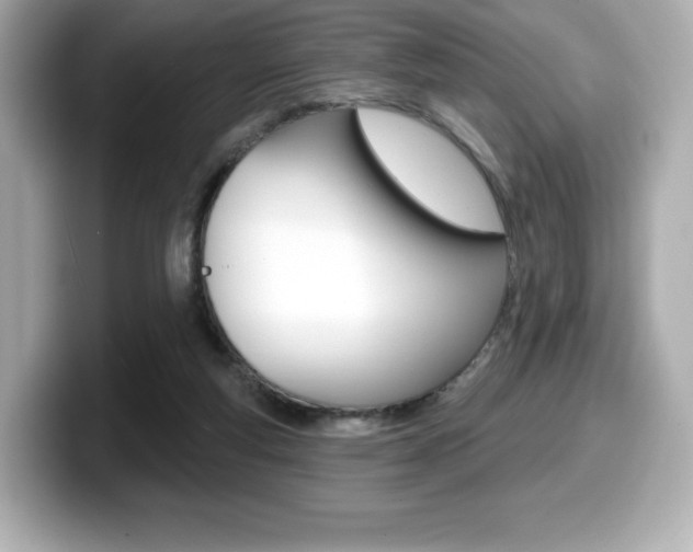 X0000099380163200805081207