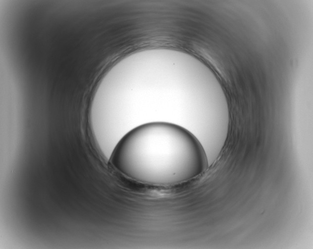 X0000099380164200805081207