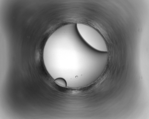 X0000099380165200805081207