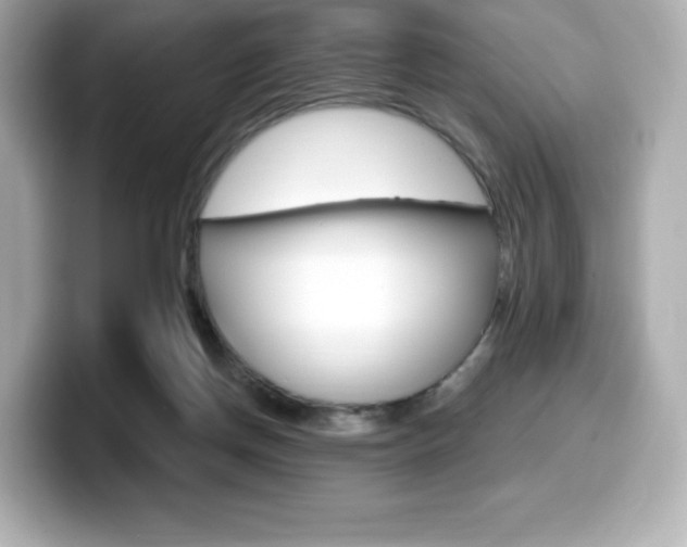 X0000099380166200805081207