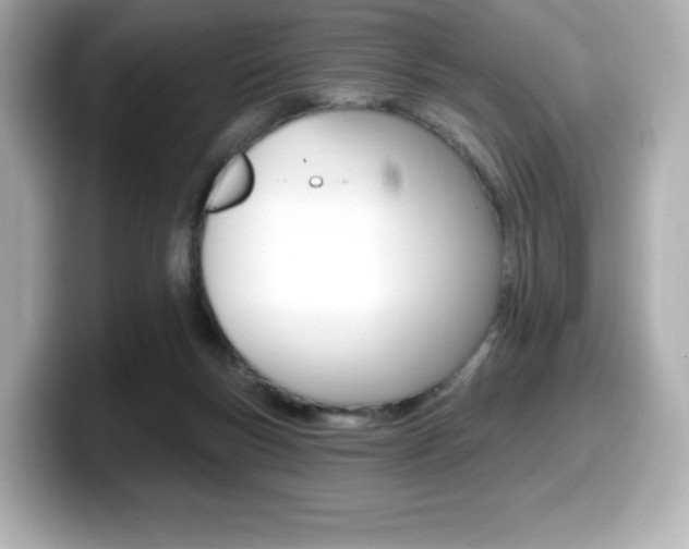 X0000099380167200805081207