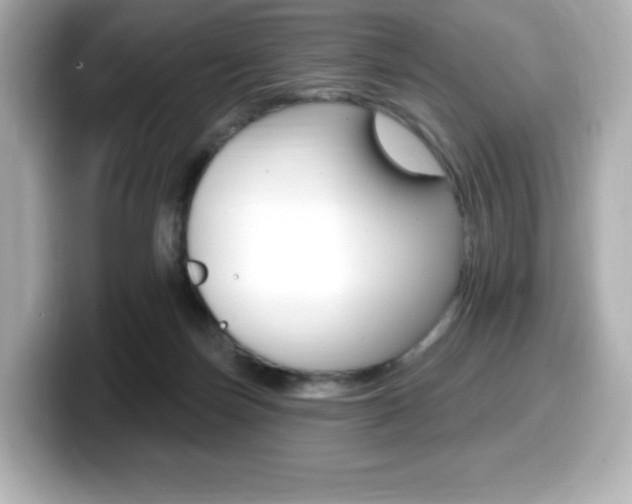 X0000099380171200805081207
