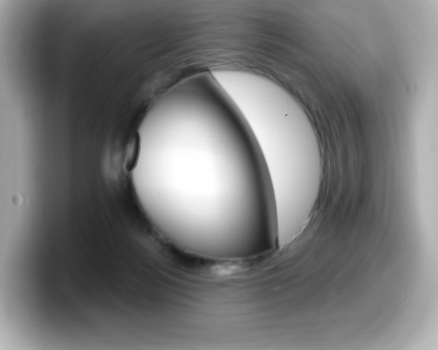 X0000099380172200805081207